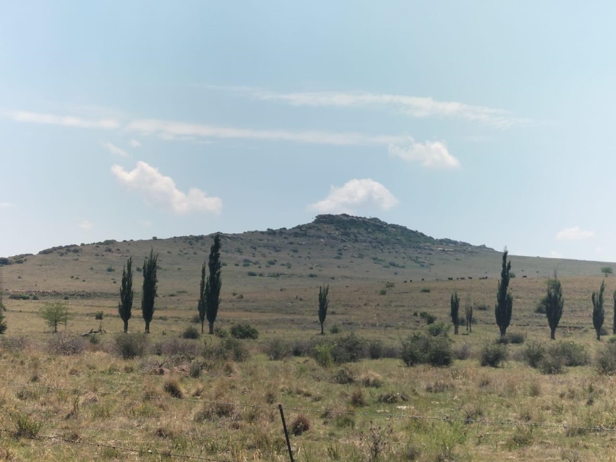 0 Bedroom Property for Sale in Bethlehem Rural Free State